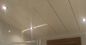 방수 Pvc 목욕탕 천장 도와/Mouldproof 천장 덮음 지붕