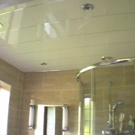 좋은 가격 샤워를 위한 Mouldproof UPVC 벽면 천장 덮음 지붕 온라인으로